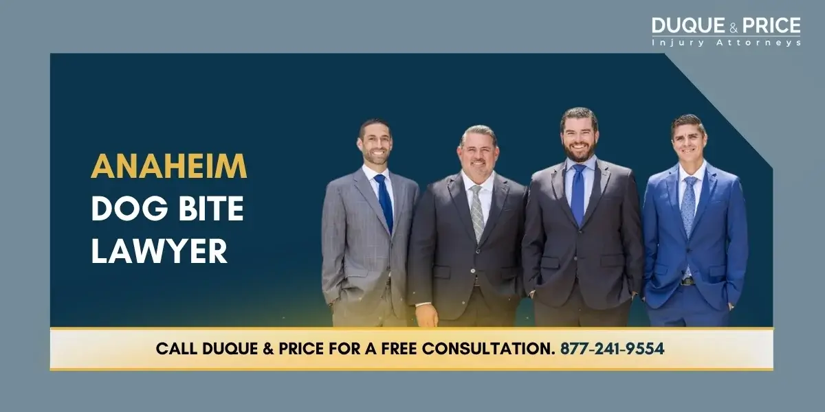 Skilled Dog Bite Lawyer Skilled Dog Bite Lawyer