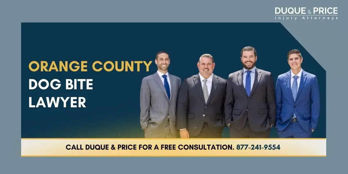 Experienced Orange County Dog Bite Lawyer Experienced Orange County Dog Bite Lawyer