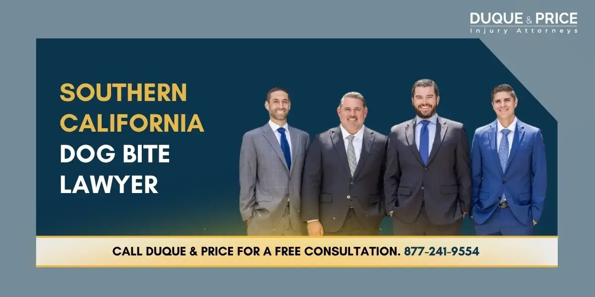 Skilled Southern California Dog Bite Lawyer Skilled Southern California Dog Bite Lawyer