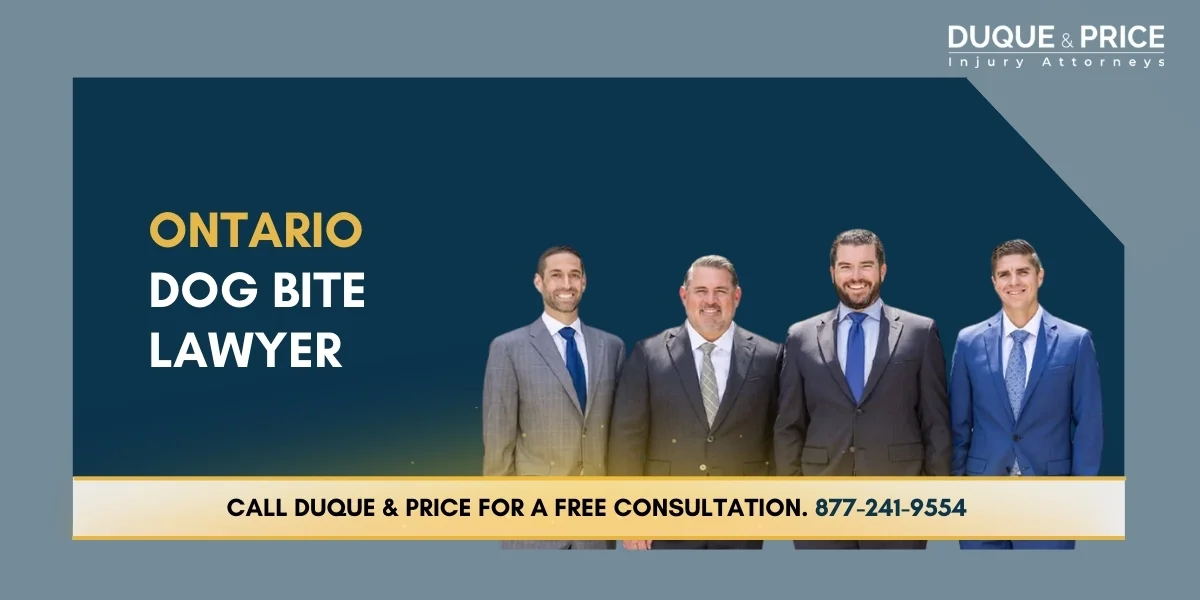 Skilled Ontario Dog Bite Lawyer