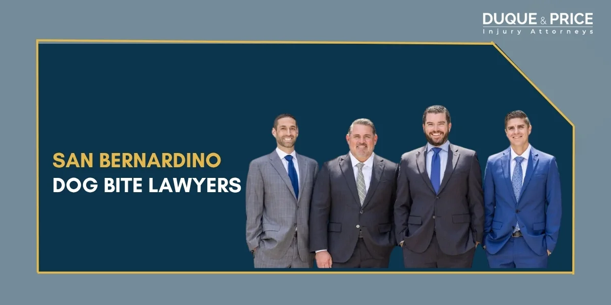 Dedicated San Bernardino Dog Bite Lawyer Dedicated San Bernardino Dog Bite Lawyer